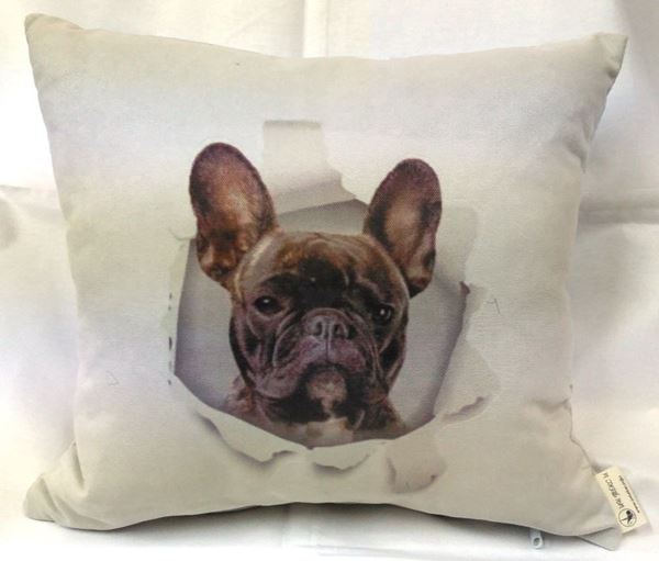 Снимка на Декоративна възглавница - Палавото куче